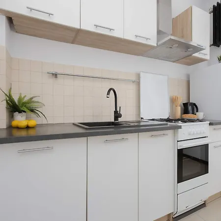 Functional With A Workspace Near The Ogrod Rozana By Renters Varsovie